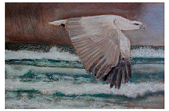 Richard Jones
